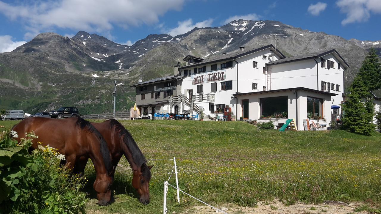 Rifugio "Mai Tardi" Hotel Madesimo Eksteriør billede